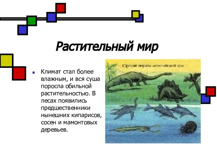 Растительный мир Климат стал более влажным, и вся суша поросла обильной растительностью.