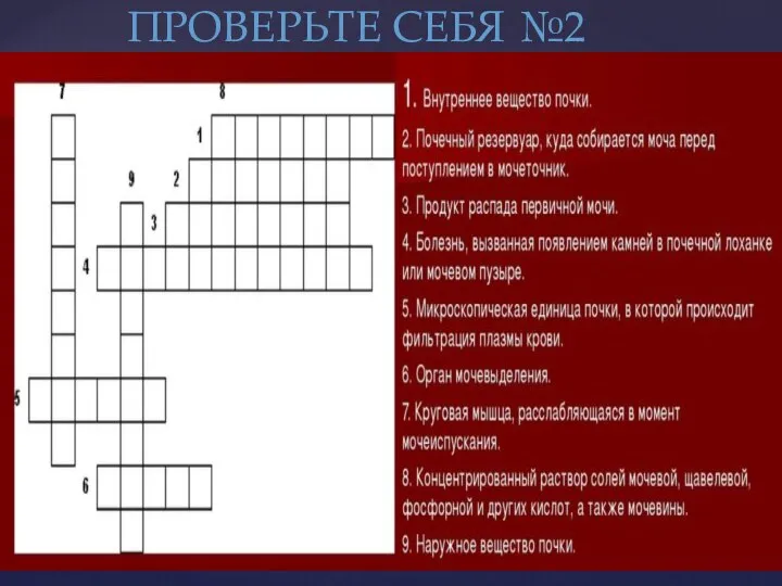 ПРОВЕРЬТЕ СЕБЯ №2