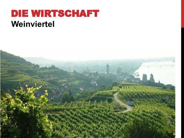 DIE WIRTSCHAFT Weinviertel