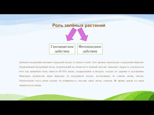 Роль зелёных растений Газозащитное действие Фитонцидное действие Зелёные насаждения очищают городской воздух