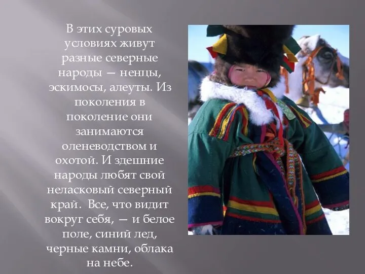 В этих суровых условиях живут разные северные народы — ненцы, эскимосы, алеуты.