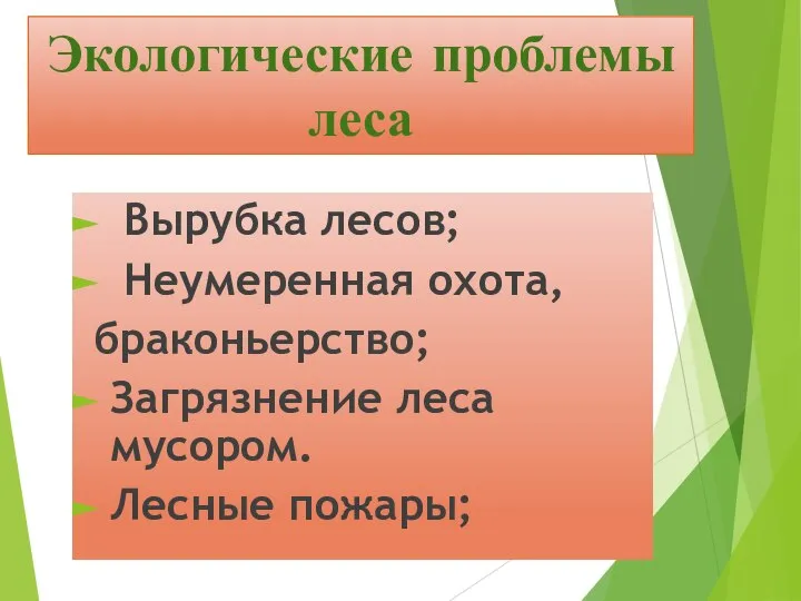 Экологические проблемы леса Вырубка лесов; Неумеренная охота, браконьерство; Загрязнение леса мусором. Лесные пожары;