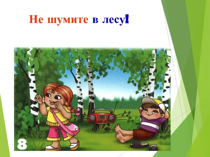 Не шумите в лесу!