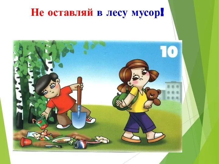 Не оставляй в лесу мусор!