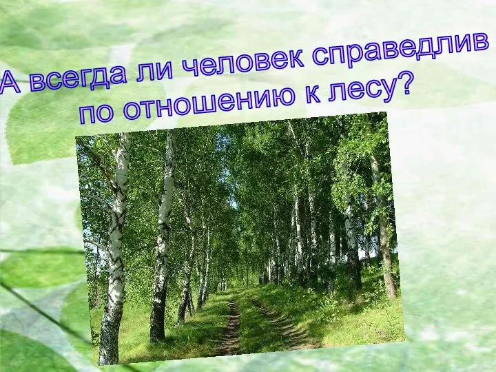 А всегда ли человек справедлив по отношению к лесу?