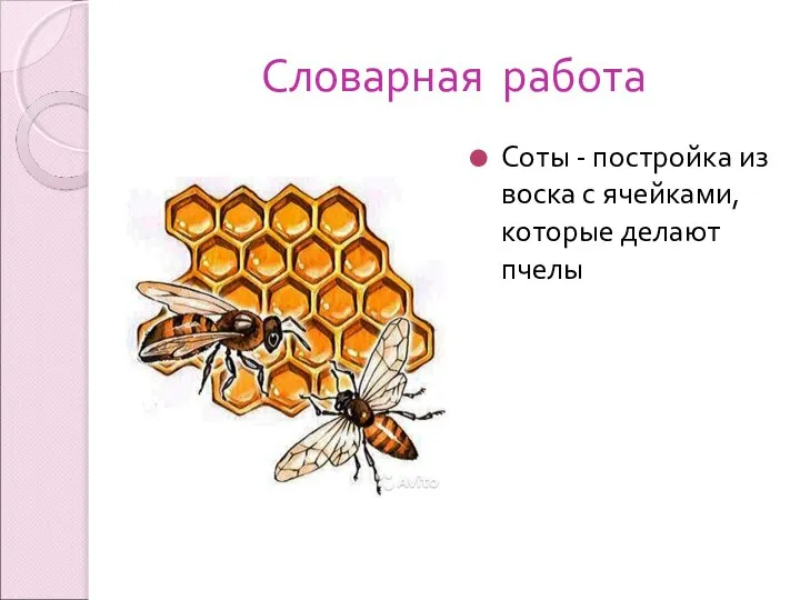 Словарная работа Соты - постройка из воска с ячейками, которые делают пчелы