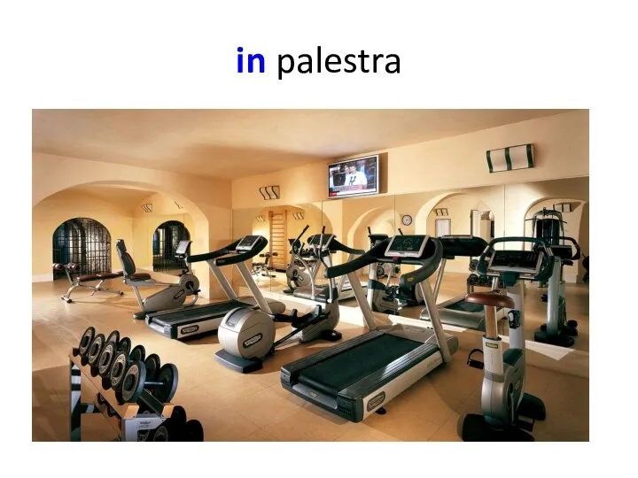 in palestra