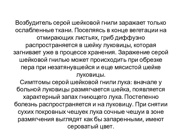 Возбудитель серой шейковой гнили заражает только ослабленные ткани. Поселяясь в конце вегетации