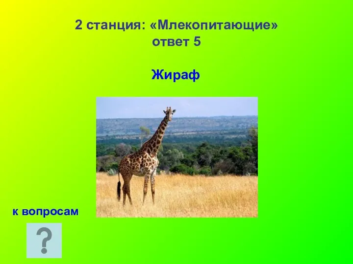 2 станция: «Млекопитающие» ответ 5 Жираф к вопросам