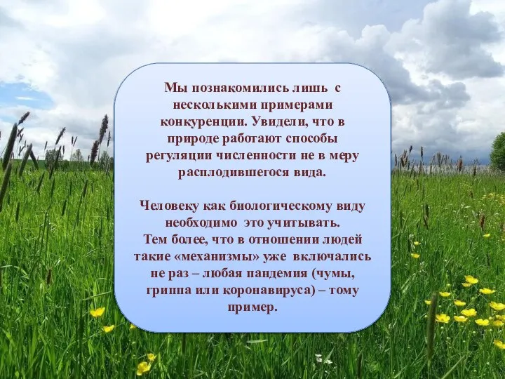 Мы познакомились лишь с несколькими примерами конкуренции. Увидели, что в природе работают