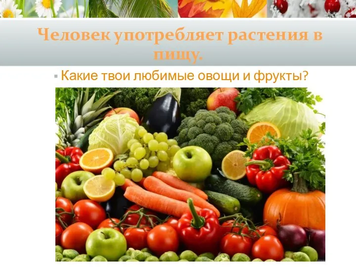 Человек употребляет растения в пищу. Какие твои любимые овощи и фрукты?