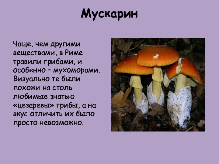 Мускарин Чаще, чем другими веществами, в Риме травили грибами, и особенно –