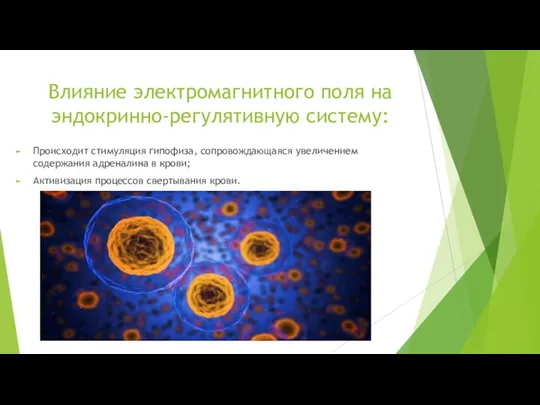 Влияние электромагнитного поля на эндокринно-регулятивную систему: Происходит стимуляция гипофиза, сопровождающаяся увеличением содержания