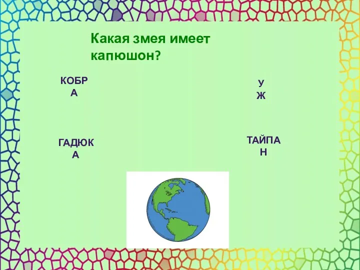 Какая змея имеет капюшон? КОБРА ГАДЮКА УЖ ТАЙПАН