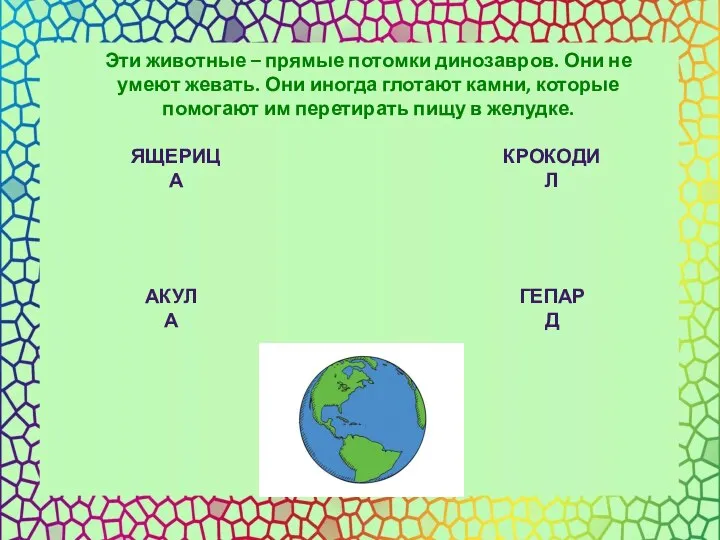 ЯЩЕРИЦА КРОКОДИЛ АКУЛА Эти животные – прямые потомки динозавров. Они не умеют