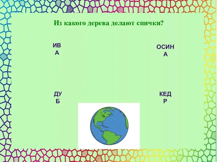 ИВА ОСИНА ДУБ КЕДР Из какого дерева делают спички?
