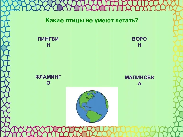 ПИНГВИН ВОРОН ФЛАМИНГО МАЛИНОВКА Какие птицы не умеют летать?