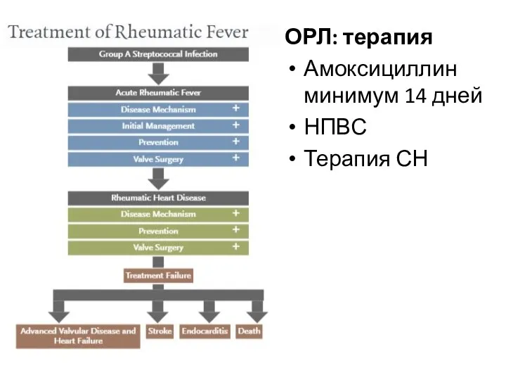 ОРЛ: терапия Амоксициллин минимум 14 дней НПВС Терапия СН