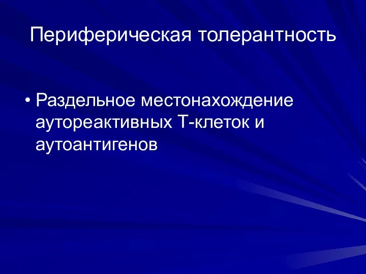 Периферическая толерантность Раздельное местонахождение аутореактивных Т-клеток и аутоантигенов