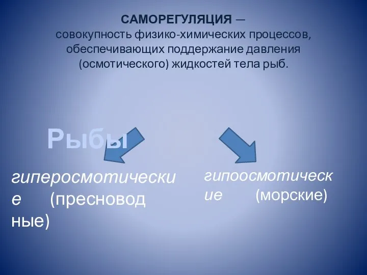 О САМОРЕГУЛЯЦИЯ — совокупность физи­ко-химических процессов, обеспечивающих под­держание давления (осмотического) жидкостей тела