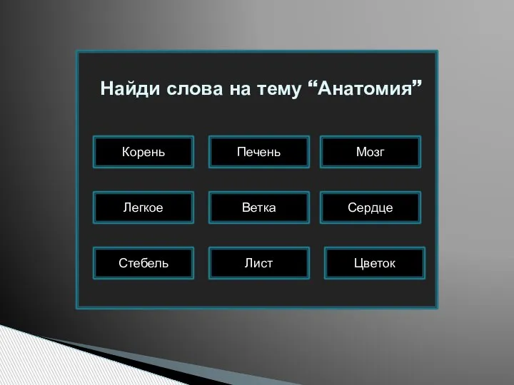 Мозг Печень Сердце Ветка Легкое Цветок Лист Стебель Корень Найди слова на тему “Анатомия”