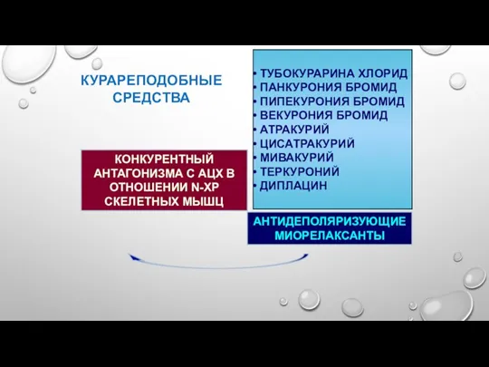 ТУБОКУРАРИНА ХЛОРИД ПАНКУРОНИЯ БРОМИД ПИПЕКУРОНИЯ БРОМИД ВЕКУРОНИЯ БРОМИД АТРАКУРИЙ ЦИСАТРАКУРИЙ МИВАКУРИЙ ТЕРКУРОНИЙ ДИПЛАЦИН КУРАРЕПОДОБНЫЕ СРЕДСТВА