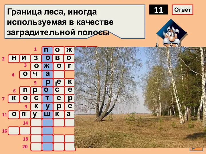 о ж а р Граница леса, иногда используемая в качестве заградительной полосы