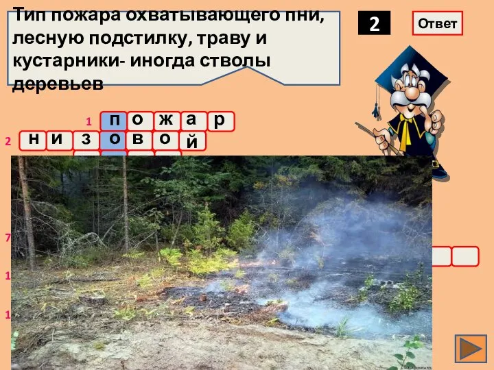 2 Тип пожара охватывающего пни, лесную подстилку, траву и кустарники- иногда стволы