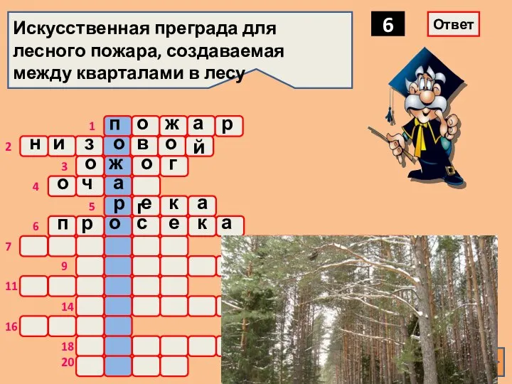 о ж а р Искусственная преграда для лесного пожара, создаваемая между кварталами