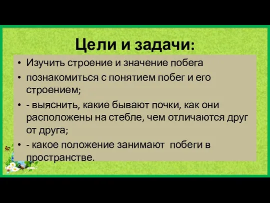 Цели и задачи: Изучить строение и значение побега познакомиться с понятием побег