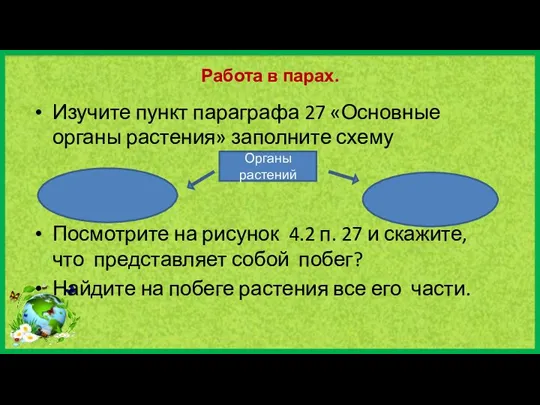 Работа в парах. Изучите пункт параграфа 27 «Основные органы растения» заполните схему