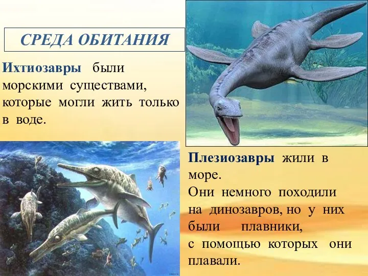 Ихтиозавры были морскими существами, которые могли жить только в воде. Плезиозавры жили