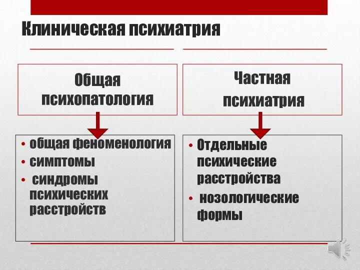 Клиническая психиатрия Общая психопатология общая феноменология симптомы синдромы психических расстройств Частная психиатрия