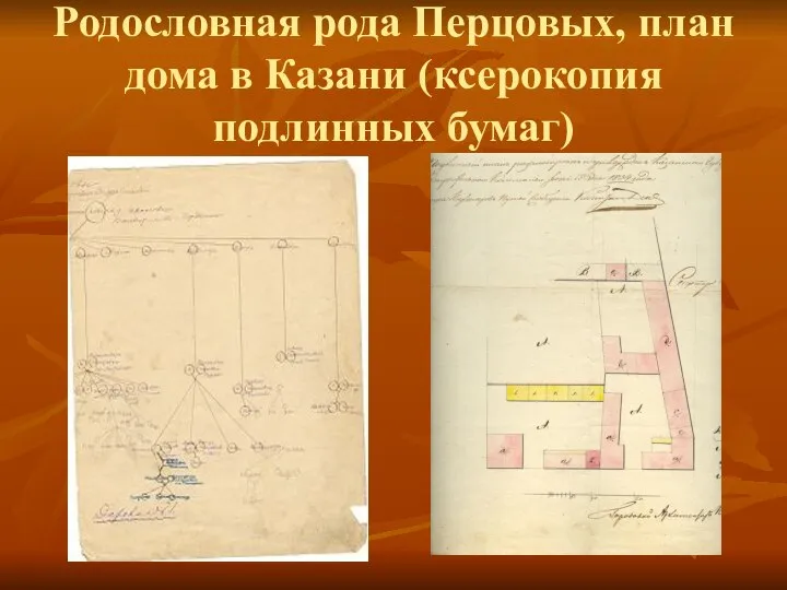 Родословная рода Перцовых, план дома в Казани (ксерокопия подлинных бумаг)