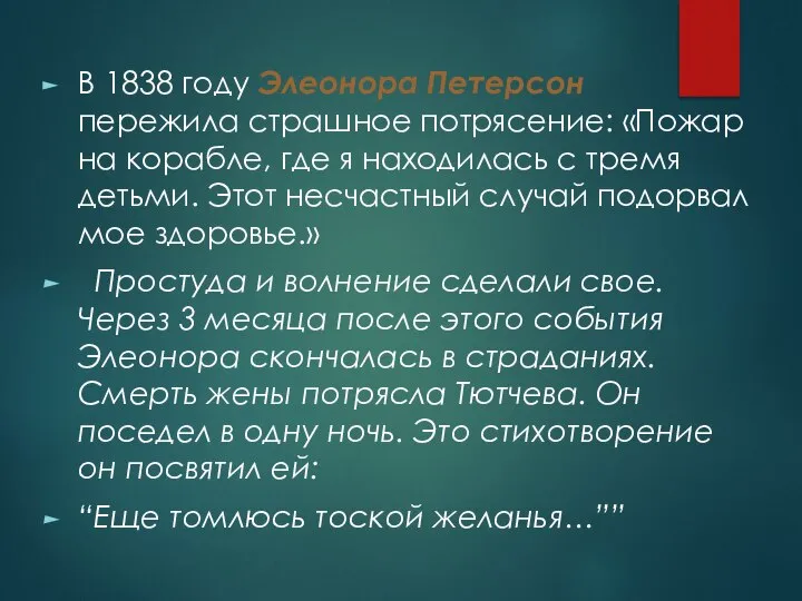 В 1838 году Элеонора Петерсон пережила страшное потрясение: «Пожар на корабле, где