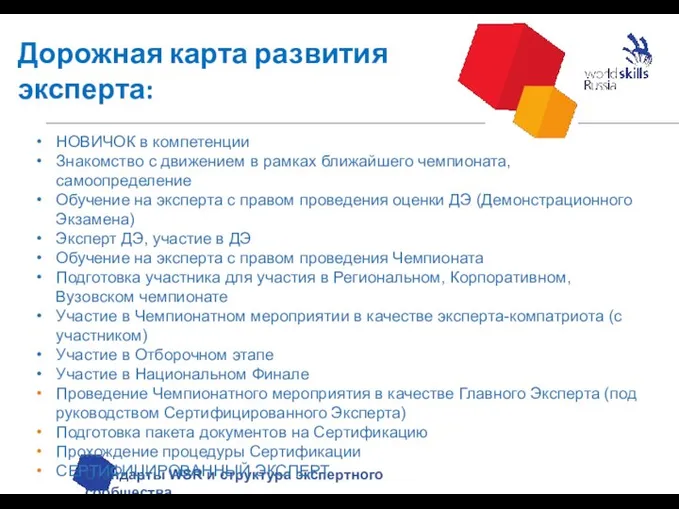 Дорожная карта развития эксперта: Стандарты WSR и структура экспертного сообщества НОВИЧОК в