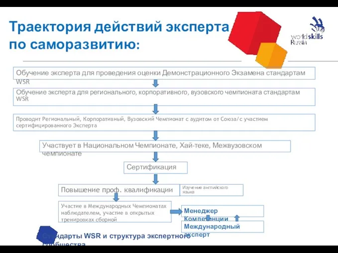 Траектория действий эксперта по саморазвитию: Стандарты WSR и структура экспертного сообщества Проводит