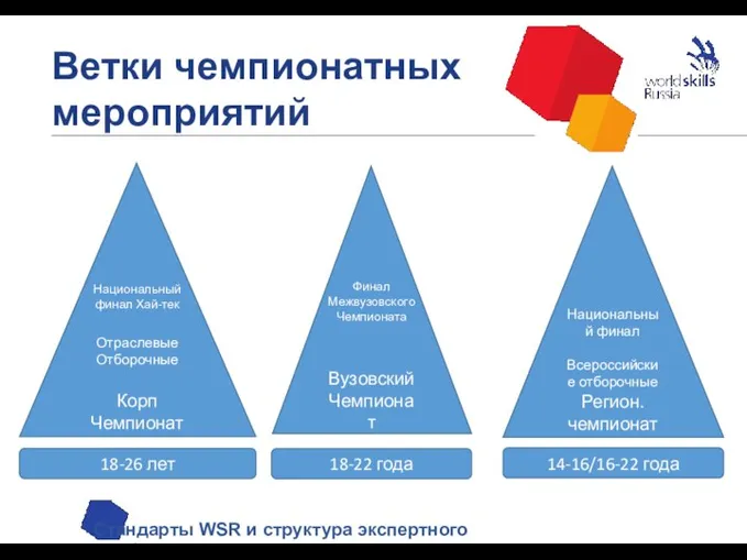 Ветки чемпионатных мероприятий Стандарты WSR и структура экспертного сообщества Национальный финал Всероссийские