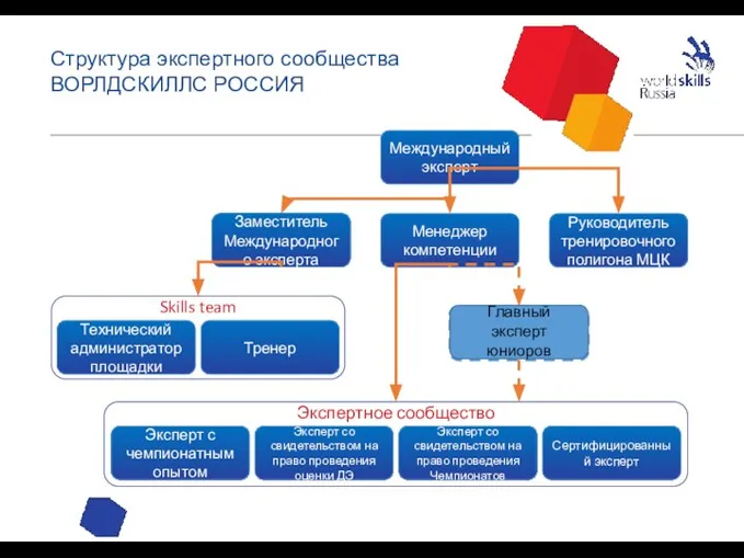 Структура экспертного сообщества ВОРЛДСКИЛЛС РОССИЯ Главный эксперт юниоров