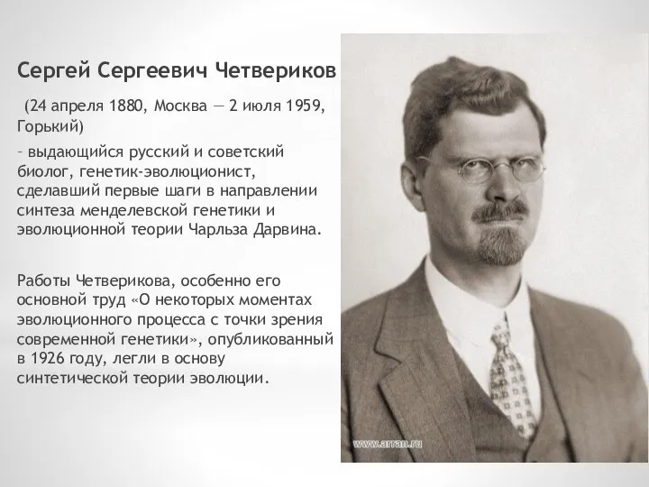 Сергей Сергеевич Четвериков (24 апреля 1880, Москва — 2 июля 1959, Горький)