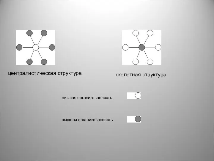 централистическая структура скелетная структура высшая организованность низшая организованность