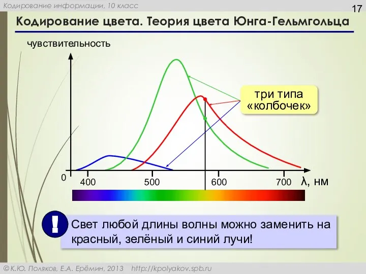 Кодирование цвета. Теория цвета Юнга-Гельмгольца