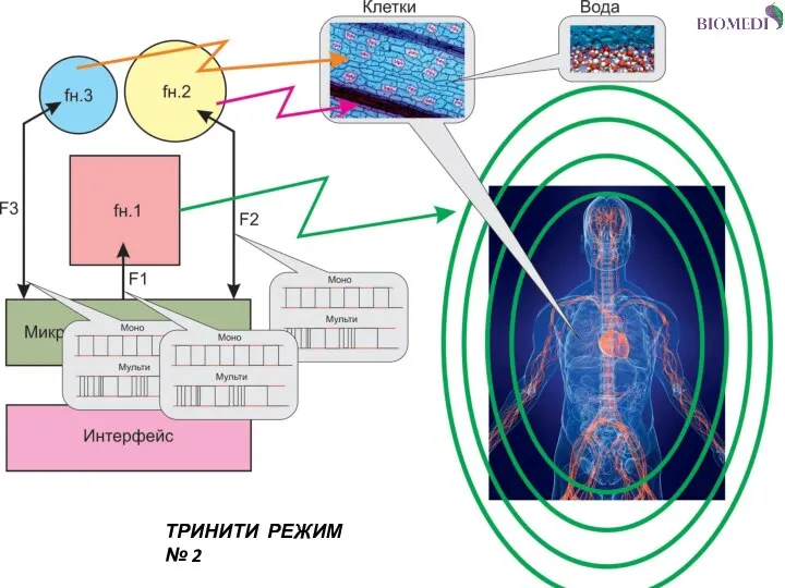 ТРИНИТИ РЕЖИМ № 2