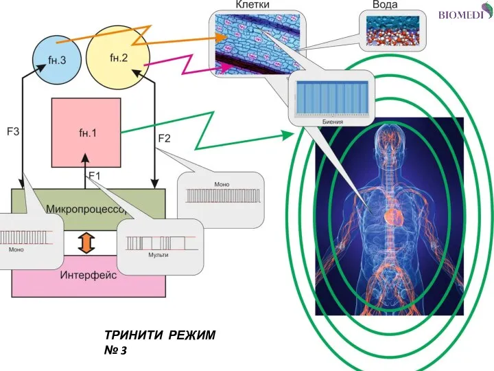 ТРИНИТИ РЕЖИМ № 3