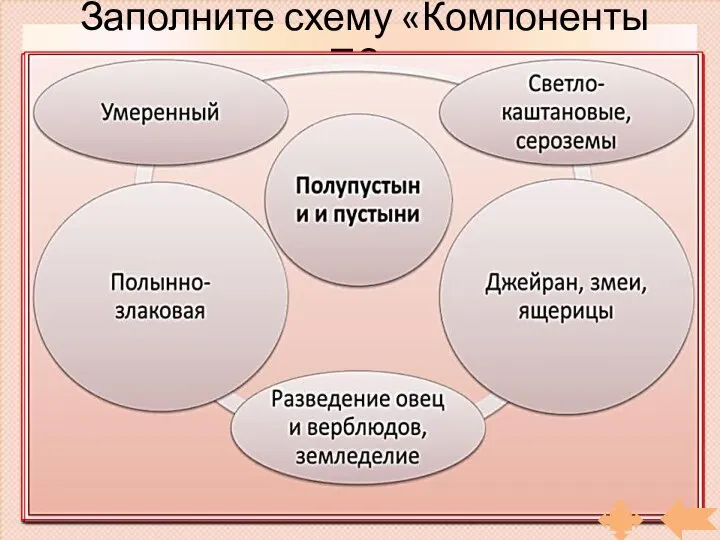 Заполните схему «Компоненты ПЗ» Арктические пустыни Тундра Лесотундра Тайга Смешанные леса Широколиственные