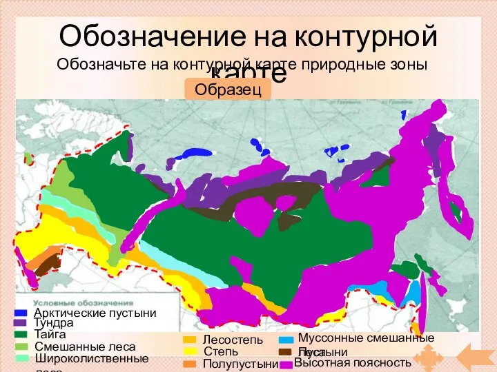 Обозначение на контурной карте Обозначьте на контурной карте природные зоны России Образец