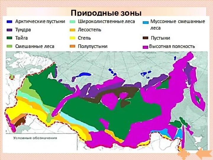 Природные зоны России