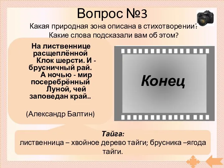 Конец Вопрос №3 На лиственнице расщеплённой Клок шерсти. И - брусничный рай.