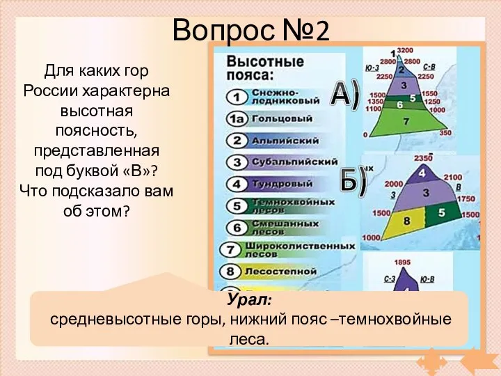 Вопрос №2 Для каких гор России характерна высотная поясность, представленная под буквой