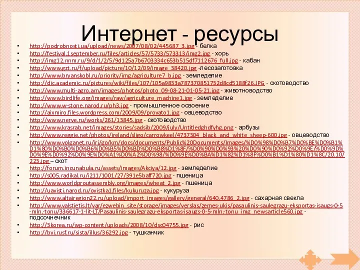 Интернет - ресурсы http://podrobnosti.ua/upload/news/2007/08/02/445687_3.jpg - белка http://festival.1september.ru/files/articles/57/5733/573313/img2.jpg - хорь http://img12.nnm.ru/9/d/1/2/5/9d125a7b6703334c653b515df7112676_full.jpg - кабан